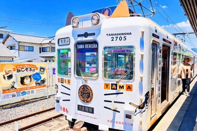 Osaka: Wakayama Cat Train, Seafood market, Hot Springs Tour - An Authentic Day in Wakayama