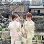 Osaka:Family-Friendly Kimono & Yukata Experience at WARGO - Variety of Kimono and Yukata Choices