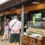 Oshino Hakkai and Kitaguchi Hongu Sengen Shrine Guided Tour-Van - Authentic Insights from Past Travelers