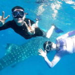 Oslob Cebu: Whale Shark Watching Day Tour - What Makes This Tour Stand Out?