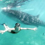 Oslob Whale Shark, Aguinid Falls & Moalboal Snorkeling - What to Expect from the Experience