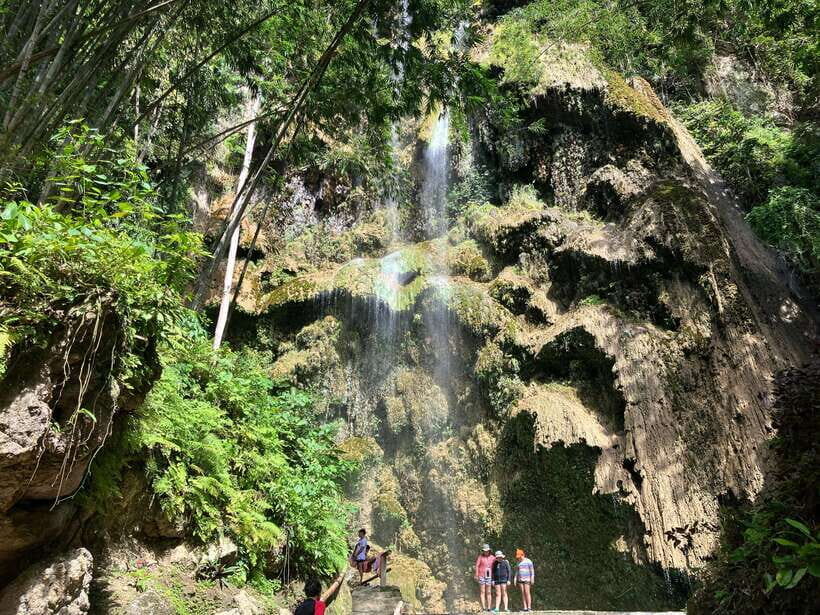 Oslob Whale Shark & Tumalog Waterfalls & Sumilon Sandbar - Final Thoughts