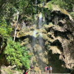 Oslob Whale Shark & Tumalog Waterfalls & Sumilon Sandbar - Detailed Breakdown of the Experience