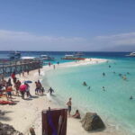 Oslob: Whale Sharks, Tumalog Falls & Sumilon Trio Adventure - Starting with the Whale Sharks in Oslob