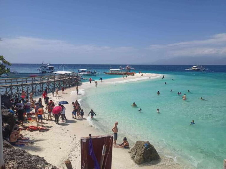 Oslob: Whale Sharks, Tumalog Falls & Sumilon Trio Adventure - Starting with the Whale Sharks in Oslob