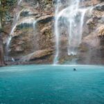 Oslob Whaleshark, TumalogFalls, Kawasan Falls, Lunch PRIVATE - FAQ