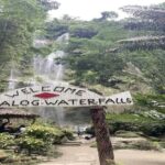 Oslob Whaleshark, TumalogFalls, Kawasan Falls, Lunch PRIVATE - A Complete Breakdown of the Tour Experience