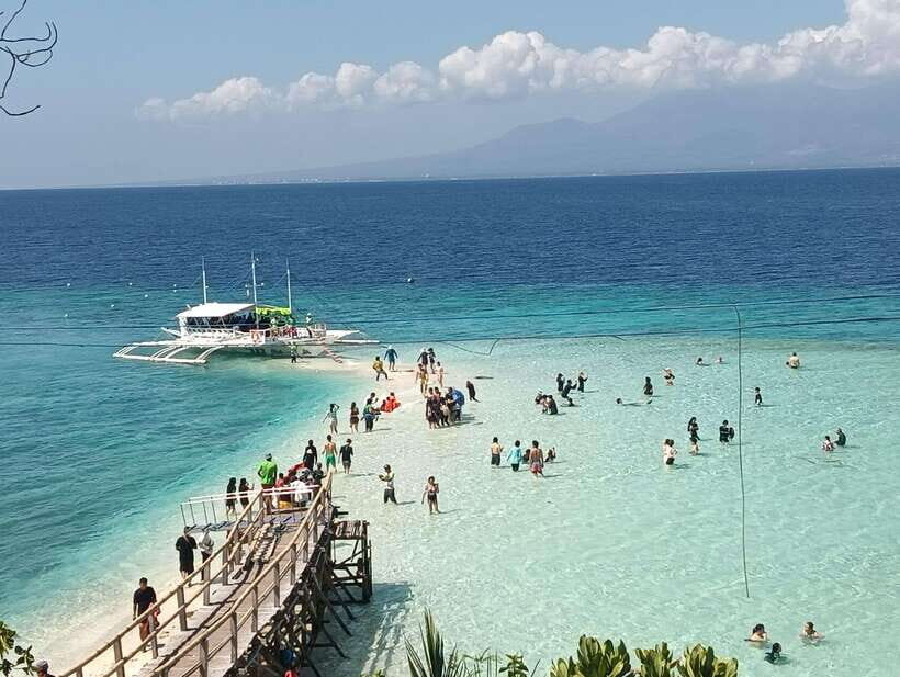 Oslob: Whaleshark Watching, Sumilon Island & Monkey Viewing - A Closer Look at the Tour Experience