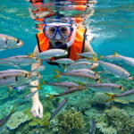 Oslob whaleshark watching & Tumalog falls & sardines run - Practical Details and Value