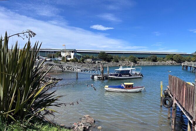 Otago Harbour by Bike: A Self Guided Tour - The Sum Up: Who Should Take This Tour?