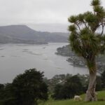 Otago Peninsula Tour and Larnach Castle City Sights (min 4 ) - Who Would Love This Tour?