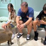 Otaku Tour in Akihabara - A Closer Look at the Itinerary