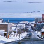 Otaru: Guided Walking Tour with Canal Custom Private Day - What to Expect During Your Day in Otaru