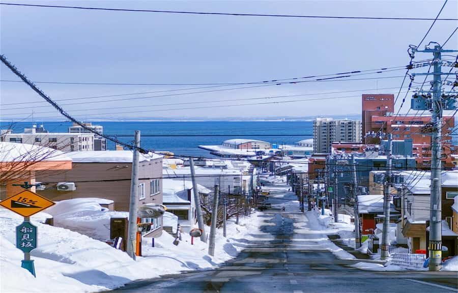 Otaru: Guided Walking Tour with Canal Custom Private Day - Exploring Otaru: An Authentic Day in Hokkaidos Charming Port Town