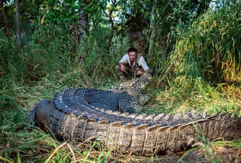 Outback Camp: Day Tour with Andrew Ucles - What to Expect on the Day