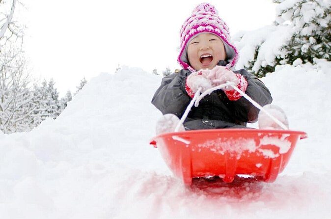 Outskirts of the city Mt Rokko Snow Trip - The Sum Up