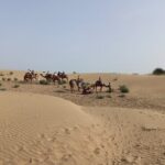 Overnight Camel Safari - Authenticity and Cultural Insights