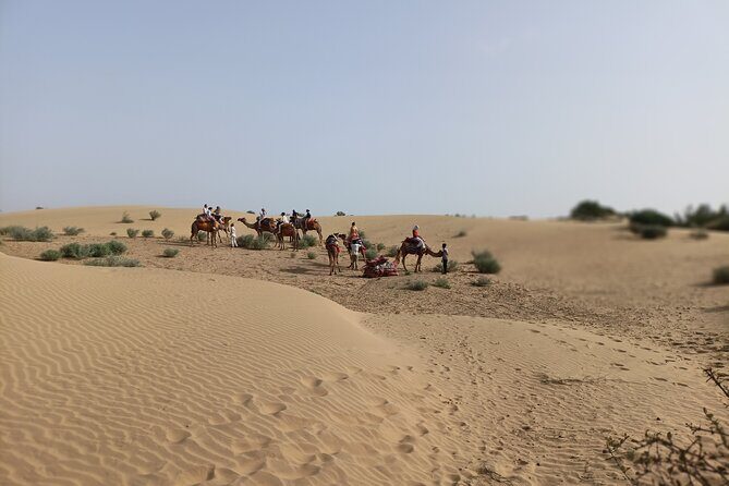Overnight Camel Safari - Authenticity and Cultural Insights