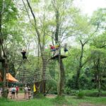 Ozo Park Ticket in Quang Binh - Who Should Consider This Tour?