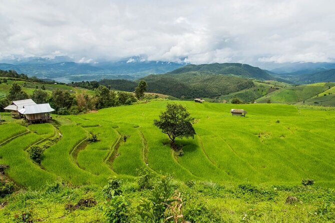 Pa Bong Piang Rice Terraces and Doi Inthanon Seasonal Day Tour - Exploring the Itinerary in Detail