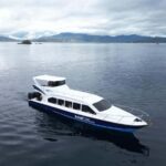 Padar Island, Pink Beach, Komodo Full-Day Shared Trip - Practical Details and Tips