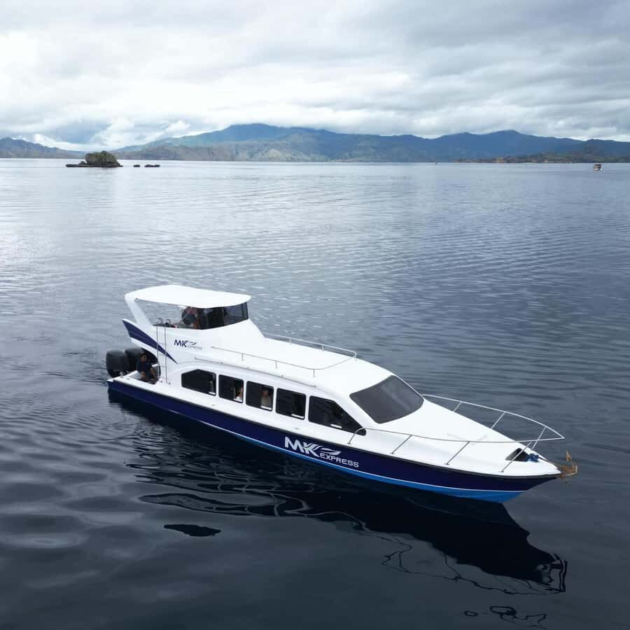 Padar Island, Pink Beach, Komodo Full-Day Shared Trip - Padar Island: A Viewpoint for the Soul