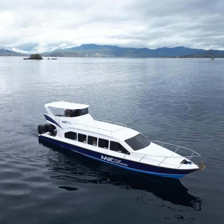 Padar Island, Pink Beach, Komodo Full-Day Shared Trip - Practical Details and Tips