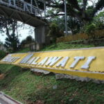 Paddy Field, Fishing And Fireflies Tour - Transportation and Practicalities