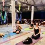Pai: Sunset Trapeze Yoga Class with Smoothie - A Detailed Look at the Itinerary and Experience