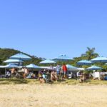 Paihia: Hole in the Rock Fast Boat with Island Stopover - What to Expect from the Tour