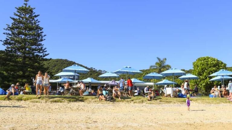 Paihia: Hole in the Rock Fast Boat with Island Stopover - What to Expect from the Tour