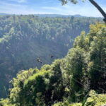 Pakse: Mystic Falls & Timeless Temples of Southern Laos Tour - What’s Included & What’s Not