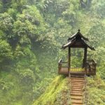 Pakse: Visit Bolaven Plateau+Tad Fane & Tad Yuang Waterfalls - Coffee Plantation Visit: A Taste of Authentic Laos