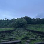 Pakse: Wat Phou World Heritage Site Full-Day Tour - The Itinerary: What Does the Day Look Like?