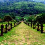 Pakse: Wat Phu, Nasinda Ruins, and Dao Huan Market Tour - A Closer Look at the Tour Experience