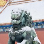 Palace Museum Entry Ticket for International Visitors - What to Expect on Your Visit