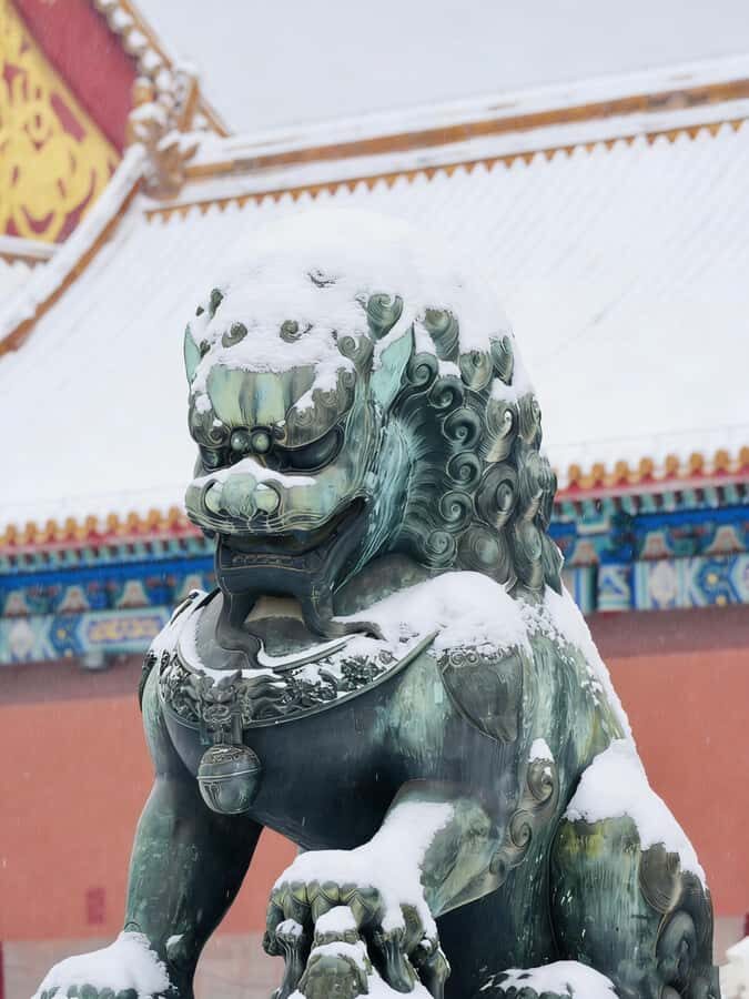 Palace Museum Entry Ticket for International Visitors - What to Expect on Your Visit