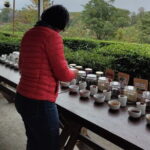 Palampur and Bir Tour, Tea Gardens, Adventures and Paragliding - Adventure at Himalayan Adrenaline