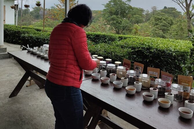 Palampur and Bir Tour, Tea Gardens, Adventures and Paragliding - Adventure at Himalayan Adrenaline