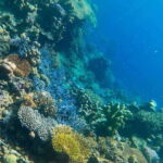 Palawan: Coron Island Super Ultimate Private Tour - What Really Sets This Tour Apart