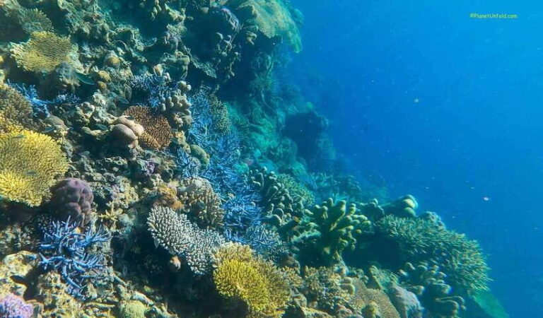 Palawan: Coron Island Super Ultimate Private Tour - What Really Sets This Tour Apart