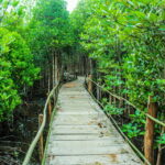 PALAWAN: El Nido Fishing Tour with Local Fishermen PRIVATE - What’s Included & What to Consider