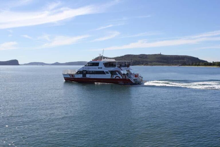 Palm Beach Harbour Hopper 24-hour or 48-hour Cruise Pass - Who Would Enjoy This Tour?