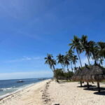 Pamilacan island: Dolphins, snorkel, lunch and walking tour - Dolphin Watching: The Early Highlights