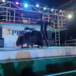 Panaji: Dinner Cruise with Drinks and Live Entertainment - The Practical Details