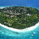 Panglao Bohol: Balicasag Island Hopping & Dolphin Watching - What’s Included and What’s Not