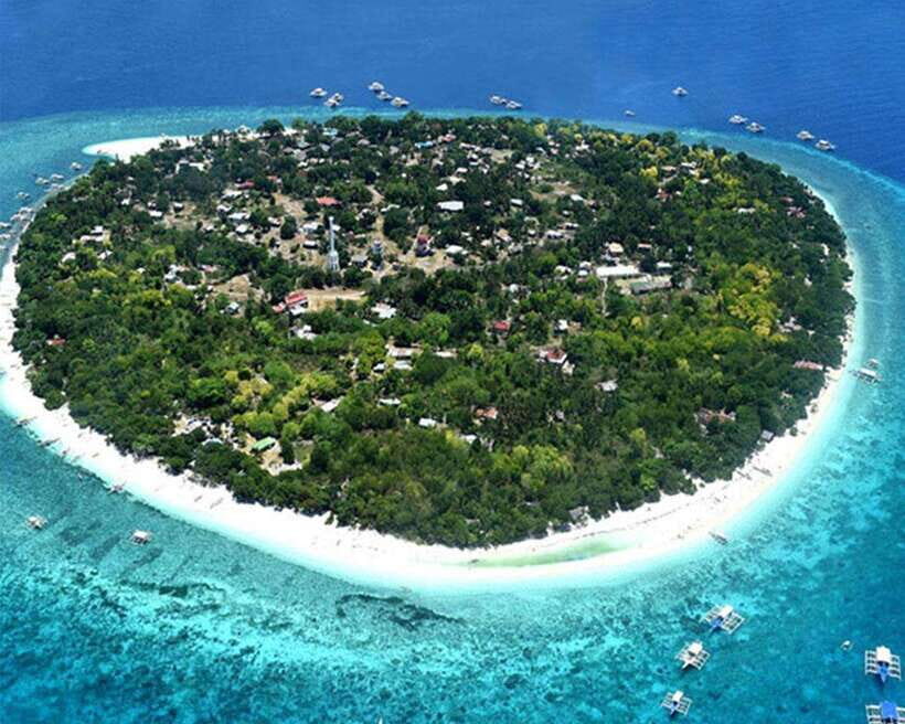 Panglao Bohol: Balicasag Island Hopping & Dolphin Watching - What’s Included and What’s Not