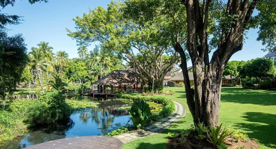 Papeete : walking tour - Exploring Papeete: What to Expect