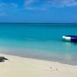 Paradise Found: Rose Island Ultimate Beach Day Escape - What’s Included and What’s Not