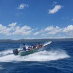 Paradise Island Private Tour, Snorkeling & Manatee Sanctuary - Why This Tour Stands Out